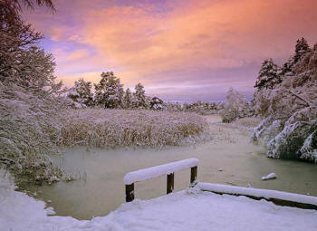 зимний пейзаж с замерзшим прудом