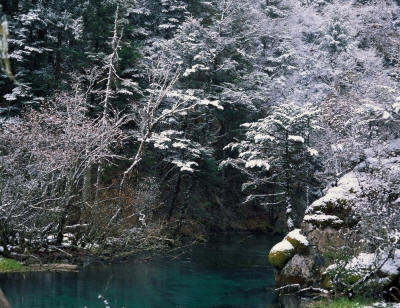 Фото зимней природы